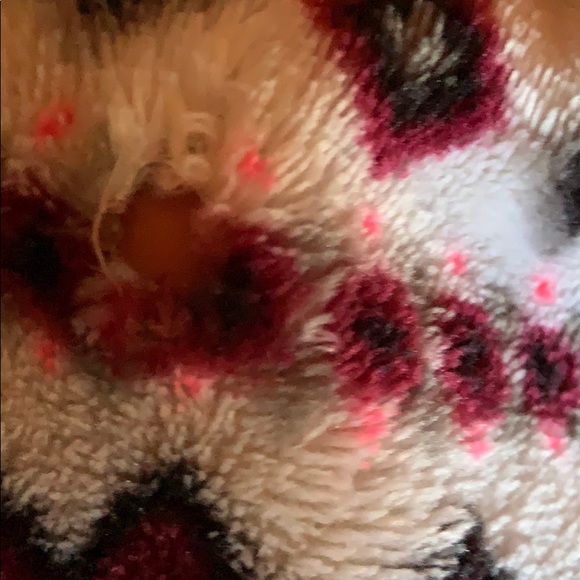 Rue 21 Pajama Pants - Picture 6 of 7